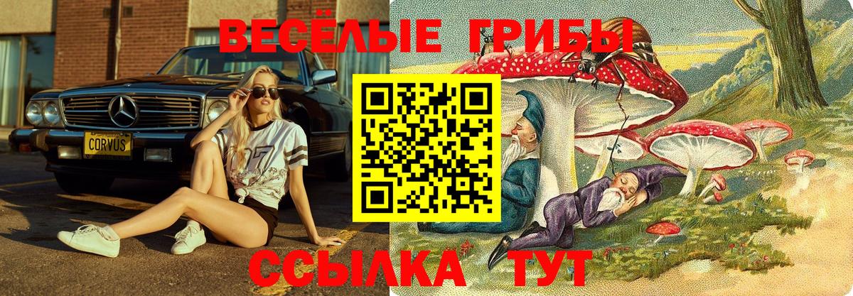 Электросталь  Псилоцибиновые грибы ЛСД  Вход с VPN 