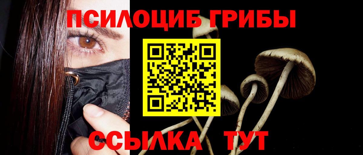 Галлюциногенные грибы Magic Shrooms Электросталь